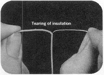 Tear Resistance